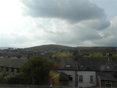 Picture 7